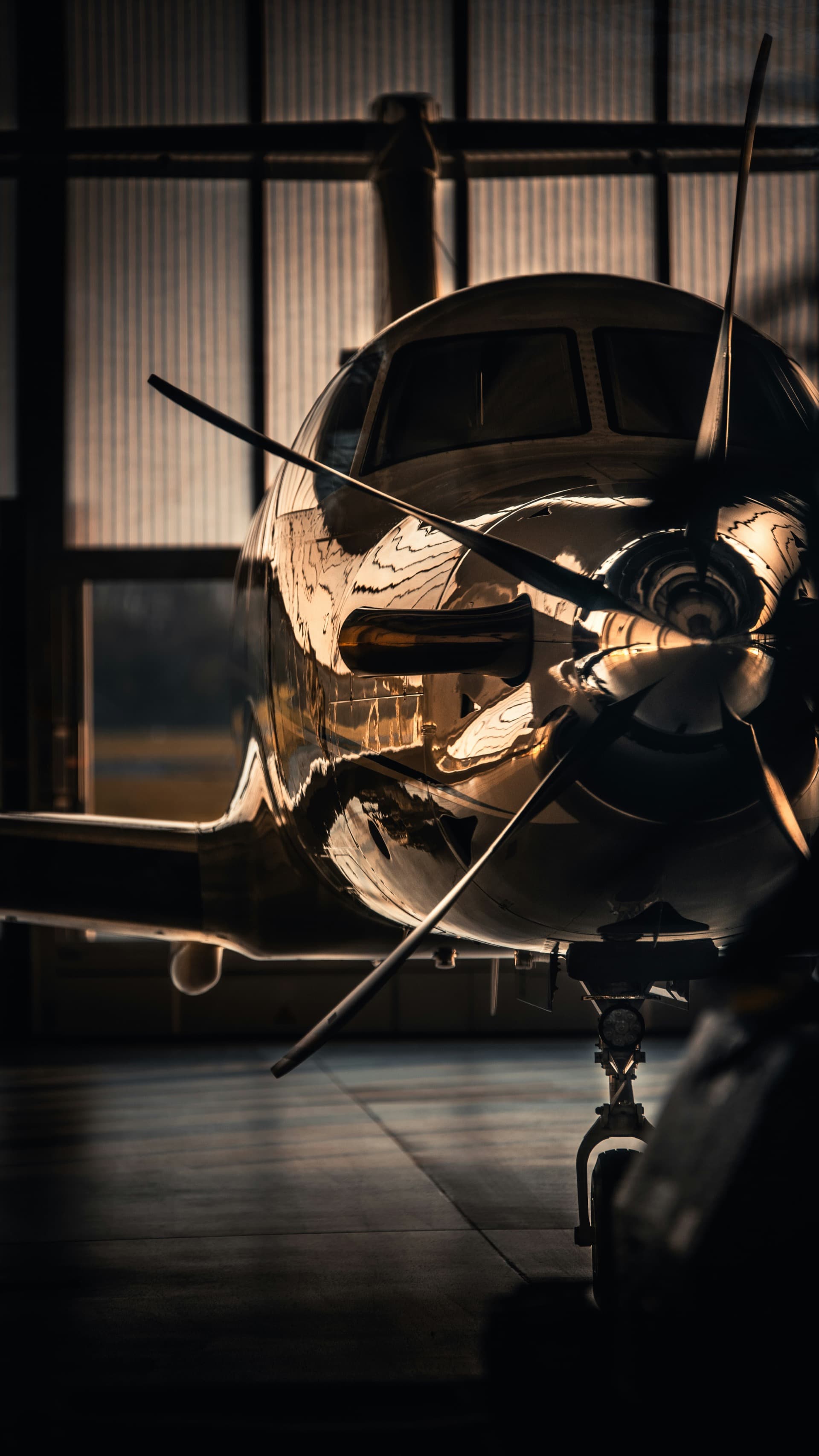 VIP Airliner — 1